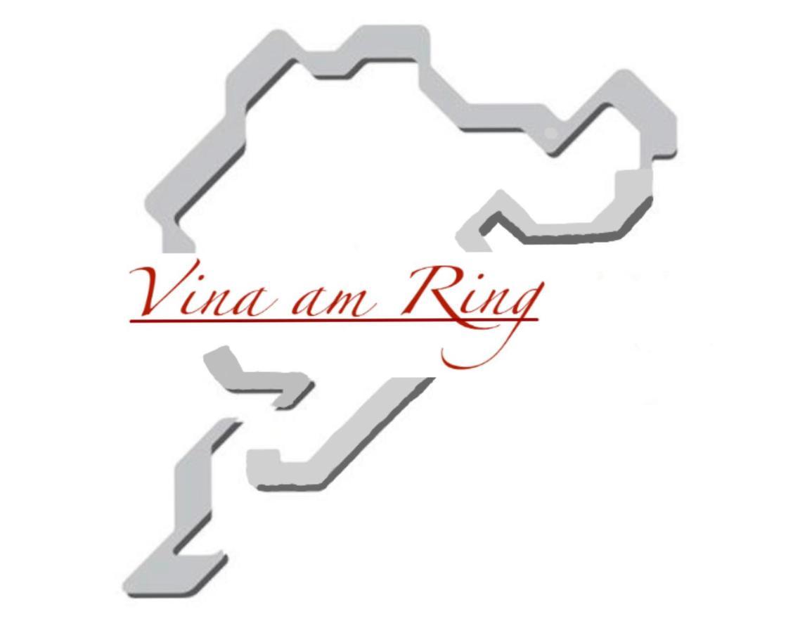 Bed and Breakfast Vina Am Ring Mannebach  Zewnętrze zdjęcie